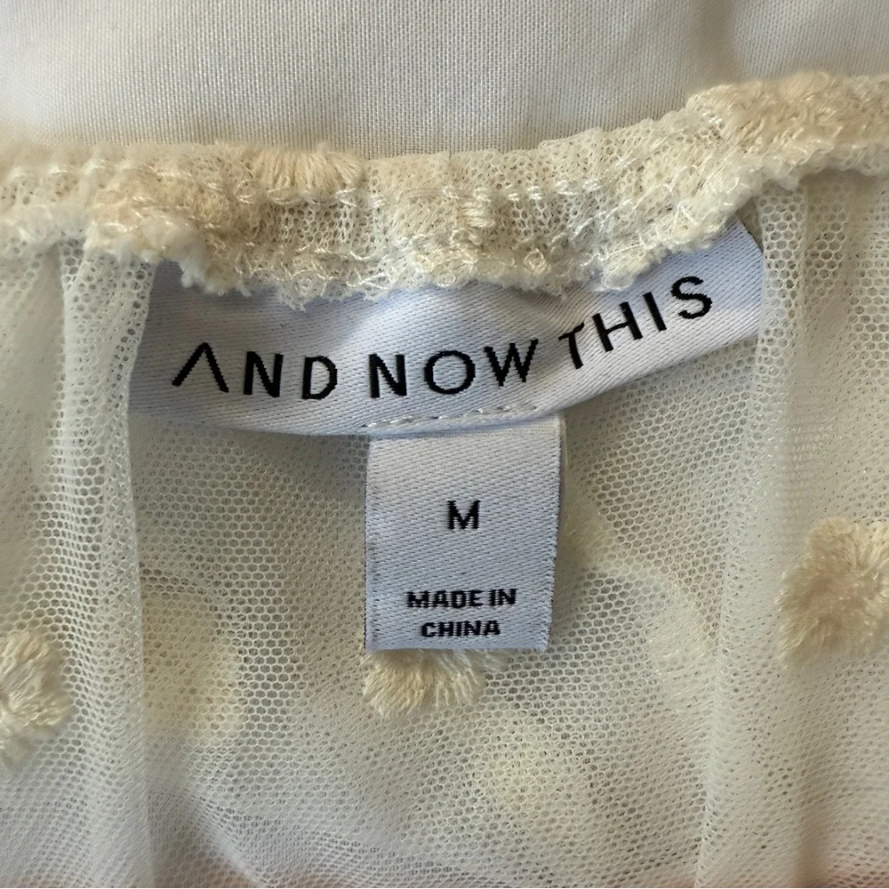 And Now This Sheer Floral Embroidered Ruffle Ivory Blouse Women’s Medium - Picture 6 of 10